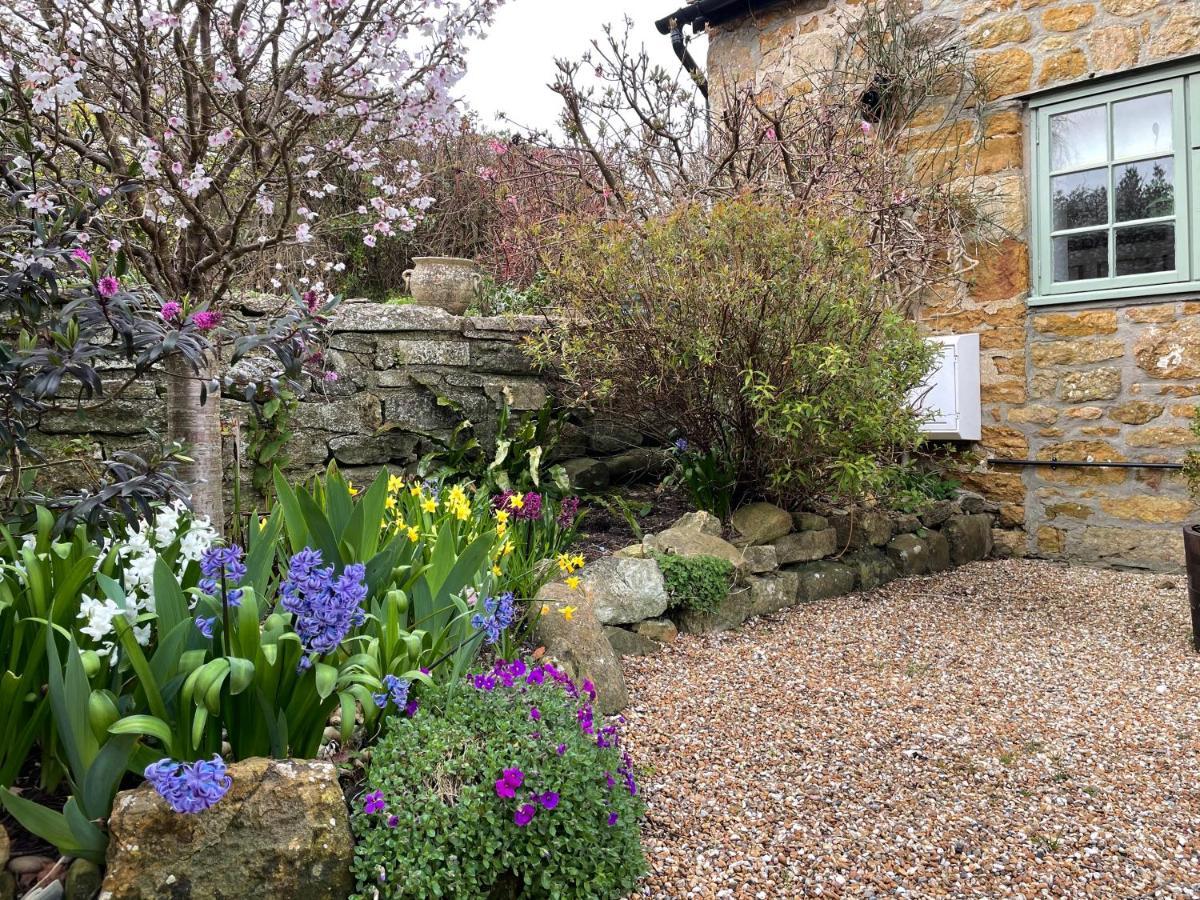 Chiddy Nook Cottage Chideock 외부 사진